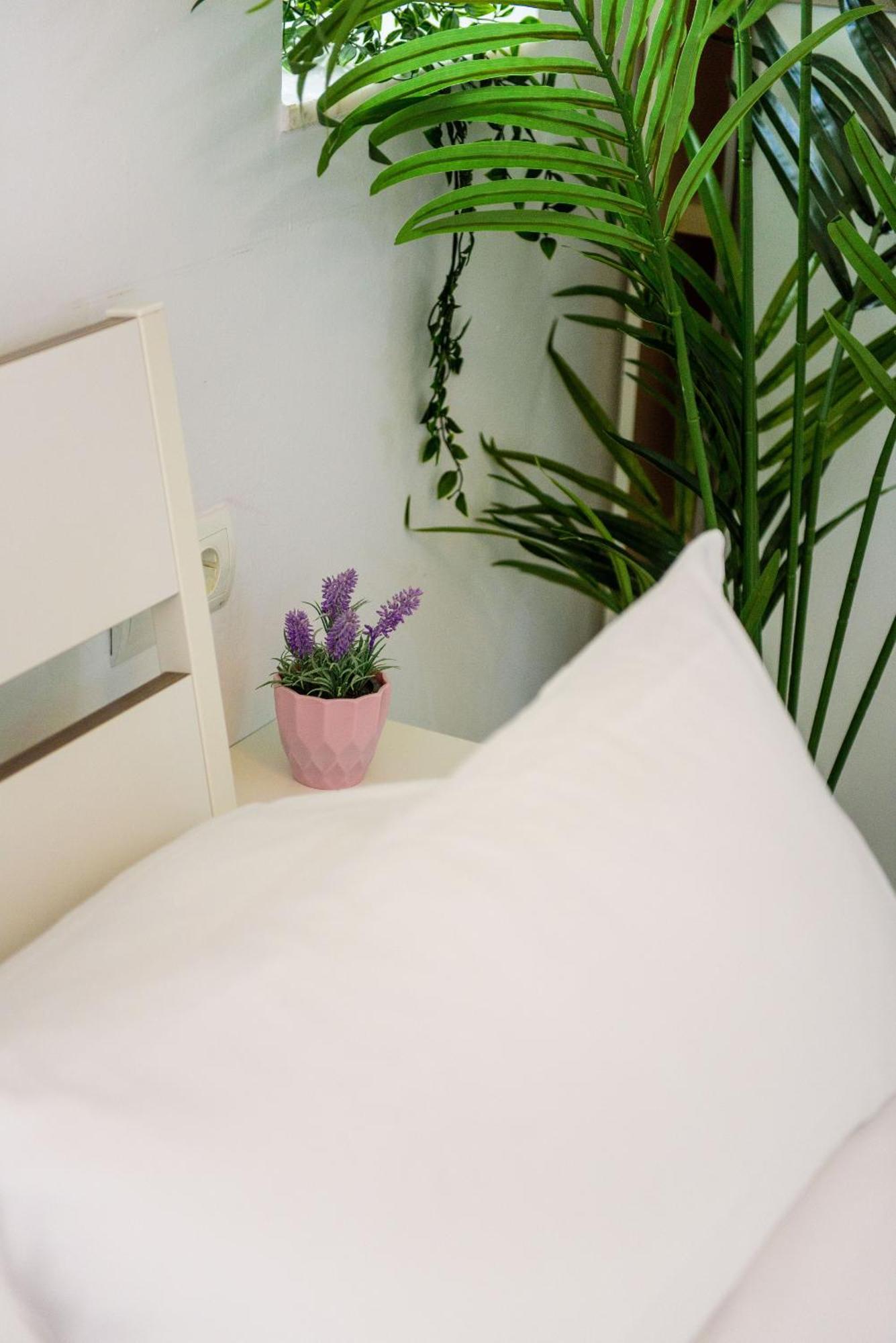 Livingtarifa Apartamento Bianco 外观 照片